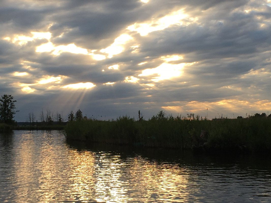 Abendstimmung an der Peene // © Mecklenburgische Seenplatte Abendstimmung an der Peene // © Mecklenburgische Seenplatte