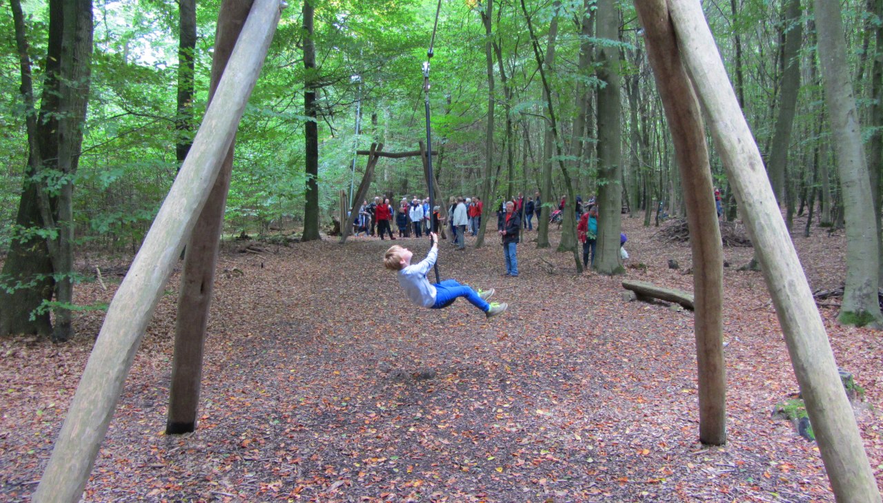 Kabelbaan op het avonturenpad door het bos Kabelbaan op het avonturenpad door het bos