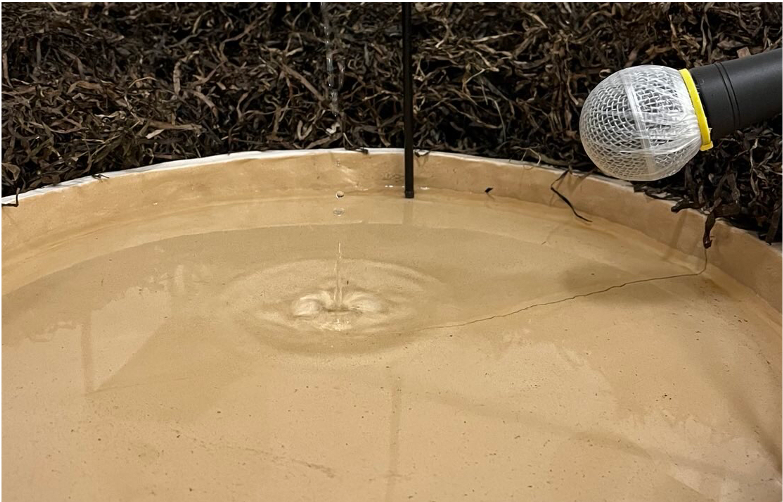 © Jugendkunstschule Vorpommern-Rügen e.V. © Jugendkunstschule Vorpommern-Rügen e.V.