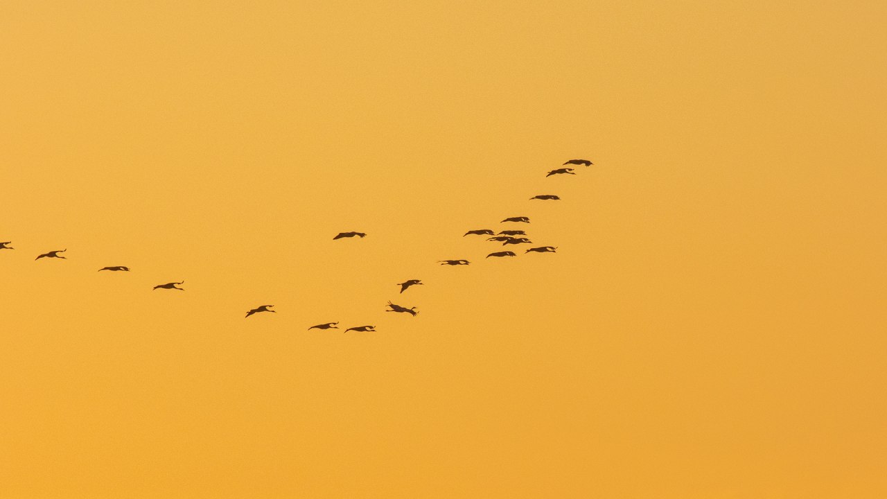 &copy; Wei&szlig;e Flotte GmbH