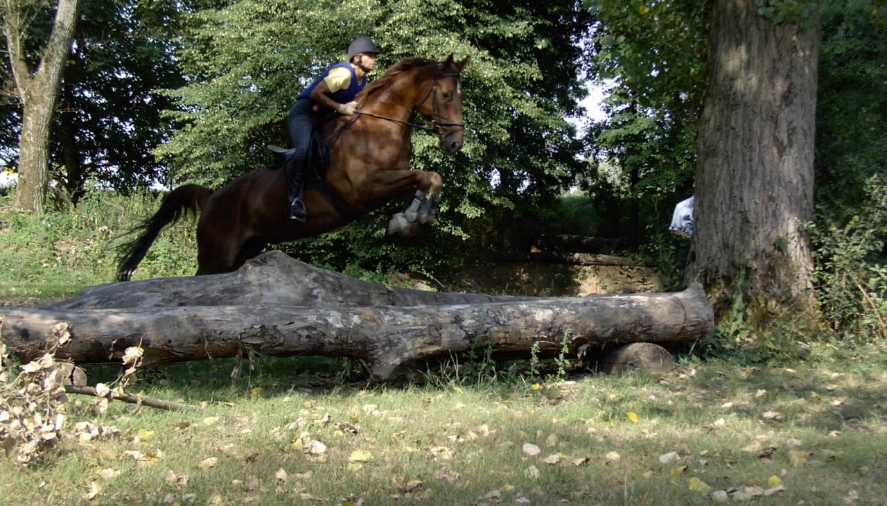 Reitsportzentrum Sabine Bender, © Sabine Bender