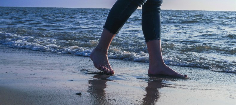 &copy; KV M&ouml;nchgut