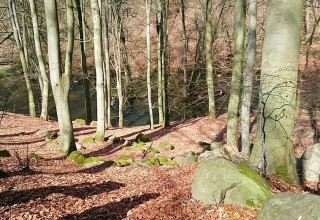 Gesteine verschiedenster Größen finden sich im Warnow-Durchbruchstal // © MV-T Gesteine verschiedenster Größen finden sich im Warnow-Durchbruchstal // © MV-T