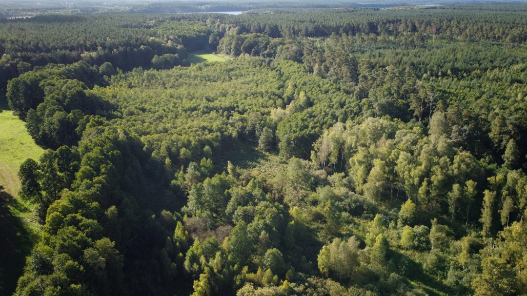 DJI_0866, &copy; Landesforst MV