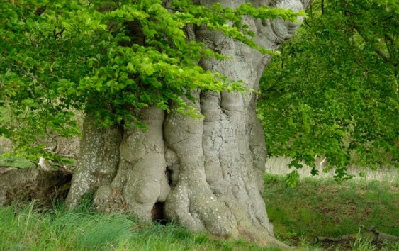 &copy; Evelin Kartheuser