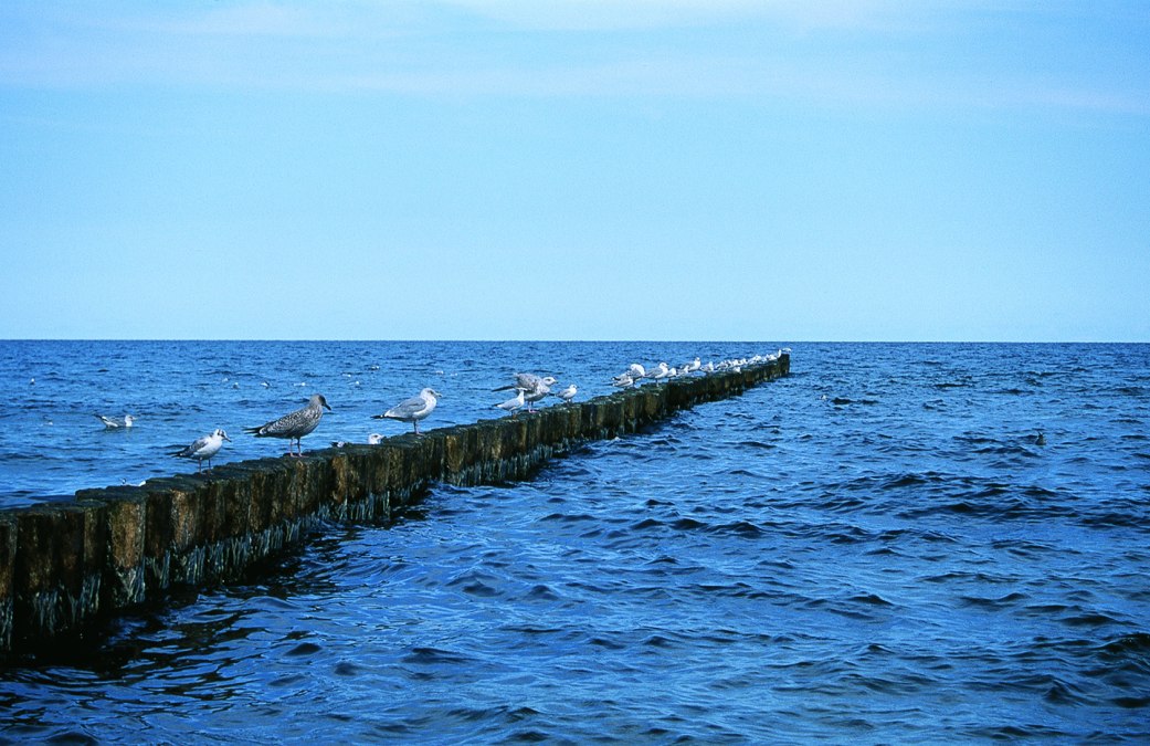 Multimediavortrag: "Kleine Insel, ich komme wieder - Als der Schlager nach Usedom kam", © image-foto.de, M+T Markt und Trend GmbH
