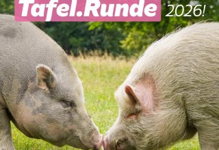 &copy; Land der Tiere