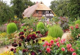 &copy; Gerd Albrecht