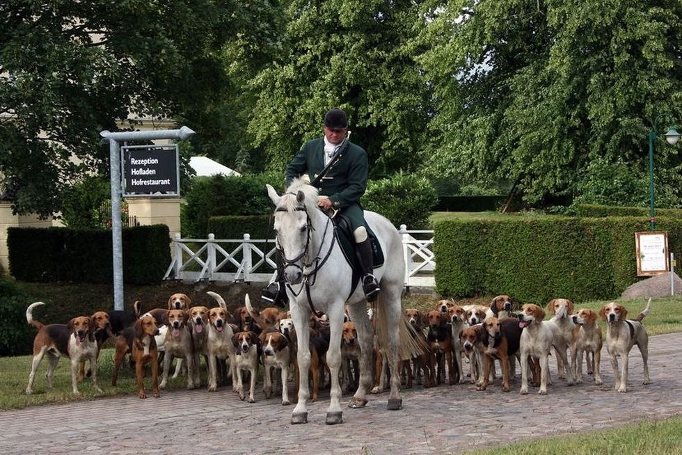 reiter-mit-meute, © Mecklenburger Meute reiter-mit-meute, © Mecklenburger Meute