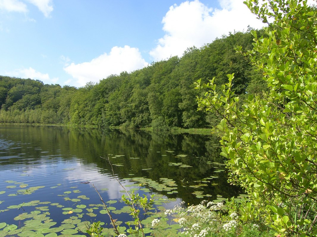 &copy; Biosph&auml;renreservatsamt S&uuml;dost-R&uuml;gen