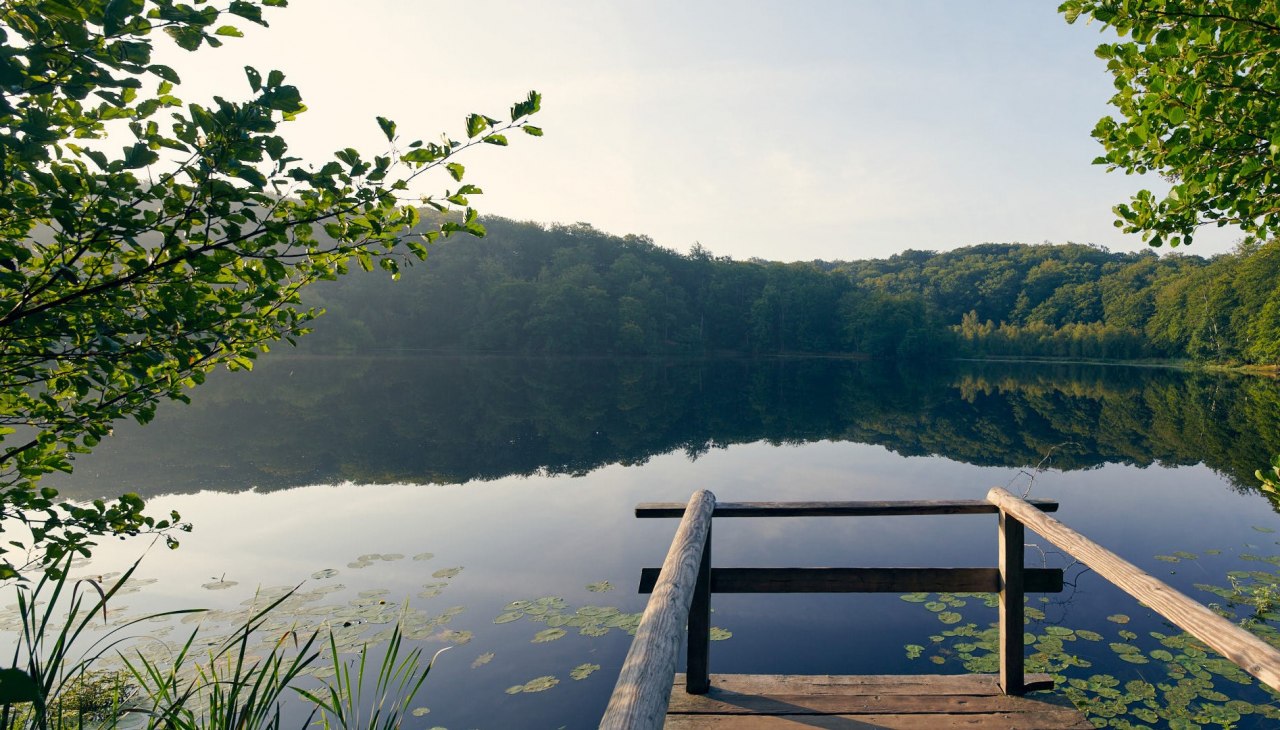 Schwarzer See in der Granitz, © Stefan Pocha Schwarzer See in der Granitz, © Stefan Pocha