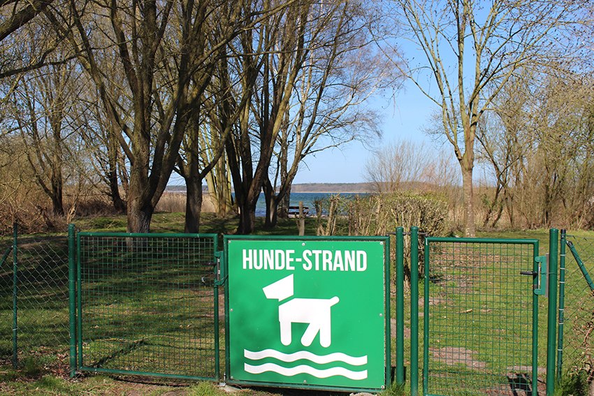 Eingezäunter Hundebereich, © Kur- und Tourismus GmbH Göhren-Lebbin