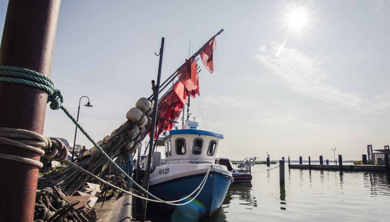 Fischer gucken und Fisch essen kann man im Fischereihafen Altwarp, © Philipp Schulz