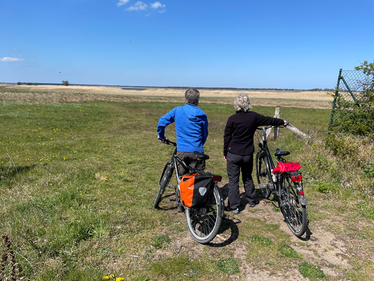 R&auml;der, &copy; TZ S&uuml;dliche Boddenk&uuml;ste