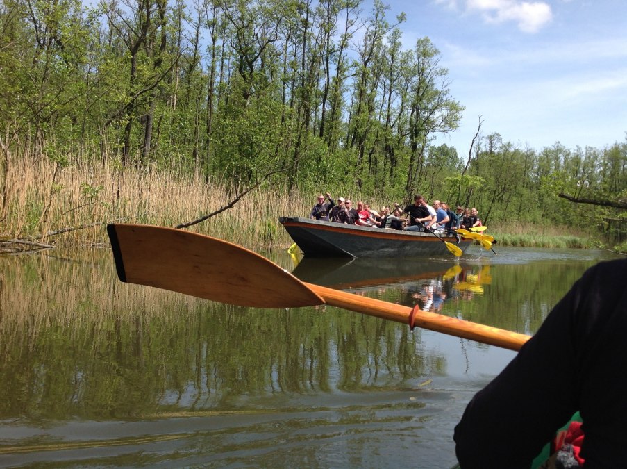 Dschungeschute - Oliver Kuse III, © Dschungelschute