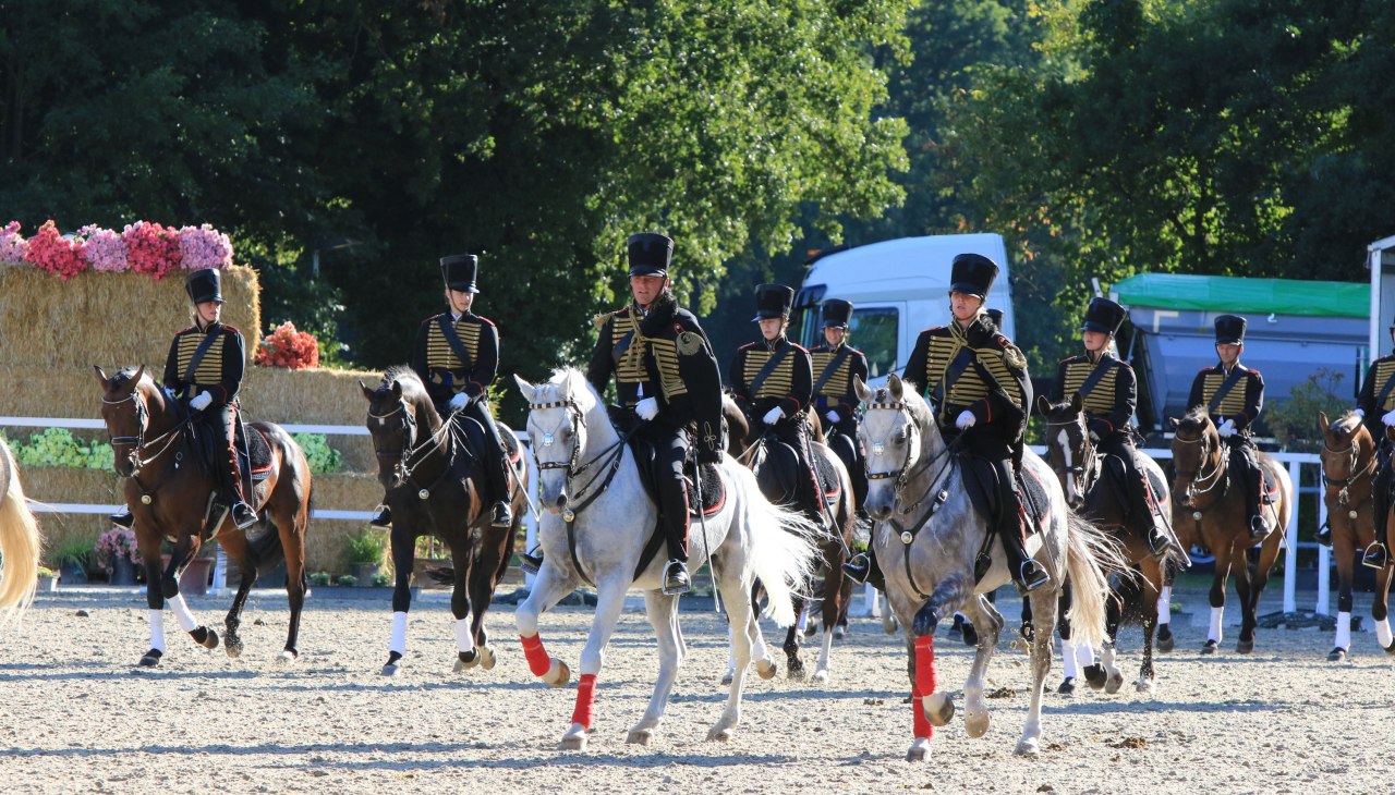 Pferdetage Landgest&uuml;t Redefin, &copy; Sven F&ouml;rst