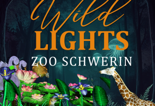 Wild Lights Zoo Schwerin // © Zoo Schwerin Wild Lights Zoo Schwerin // © Zoo Schwerin