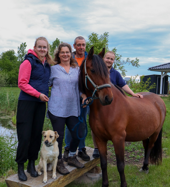 &copy; Pferdehof W&uuml;stgrabow