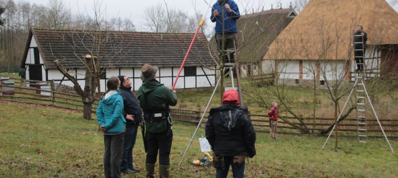 Teilnehmer des Kurses schneiden in kleinen Gruppen nach der nachhaltigen &Ouml;schbergmethode., &copy; Fred-Ingo Pahl