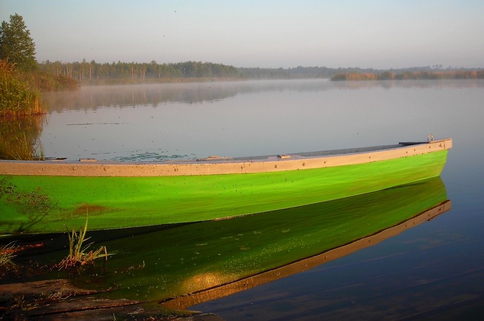 Morgenstimmung am See // © NationalparkTours Morgenstimmung am See // © NationalparkTours