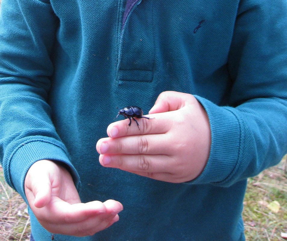 &copy; NPA M&uuml;ritz