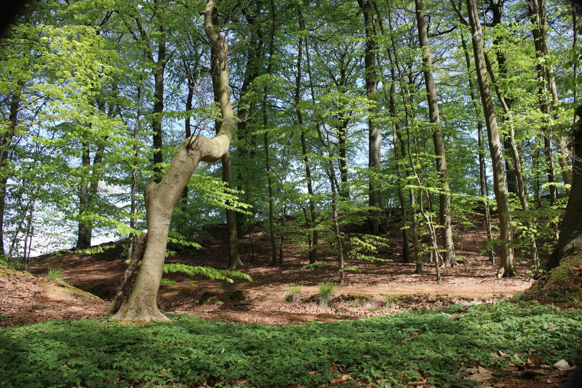 &copy; Biosph&auml;renreservat S&uuml;dost-R&uuml;gen