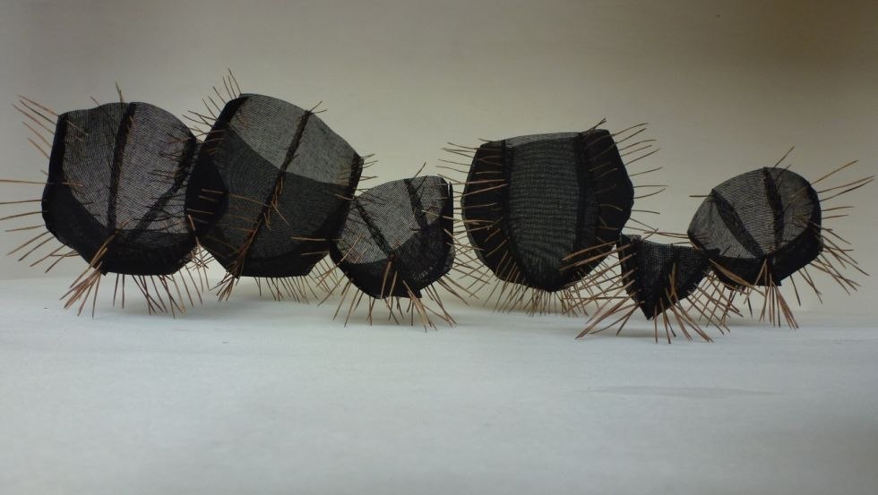 &copy; Angela Kiersch