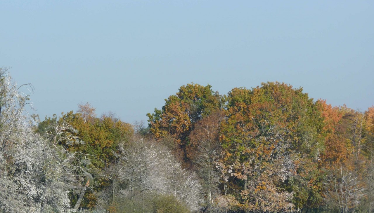 Warnker See, © Waren (Müritz) Kur-und Tourismus GmbH Warnker See, © Waren (Müritz) Kur-und Tourismus GmbH