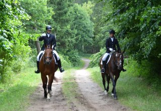 Ausreiten mit dem Reiterhof Groß-Stubben heißt vorallem Natur genießen // © Reit- und Fahrverein Poseritz e.V./ Thomas Krimmling Ausreiten mit dem Reiterhof Groß-Stubben heißt vorallem Natur genießen // © Reit- und Fahrverein Poseritz e.V./ Thomas Krimmling