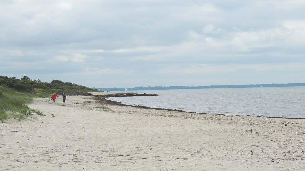 Blick Naturstrand // © Kurverwaltung Insel Poel Blick Naturstrand // © Kurverwaltung Insel Poel