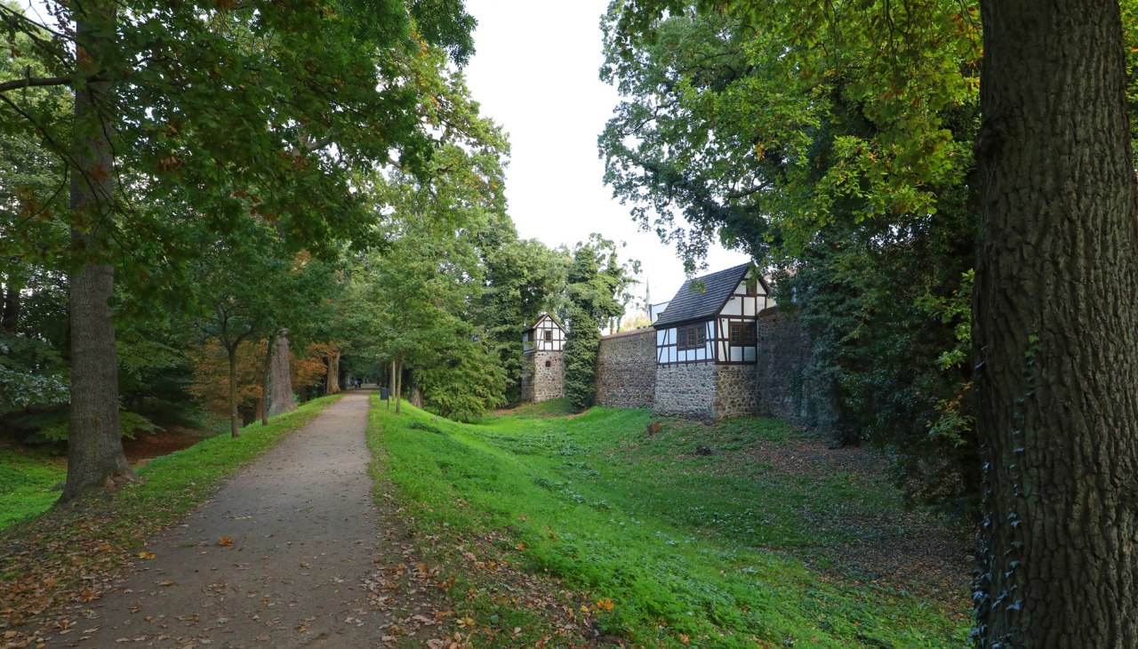 Mittelalterliche Wall- und Wehranlage Neubrandenburg_2, © TMV/Gohlke Mittelalterliche Wall- und Wehranlage Neubrandenburg_2, © TMV/Gohlke