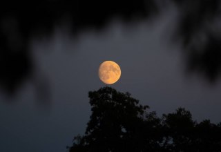 &copy; Jessica Pl&ouml;se