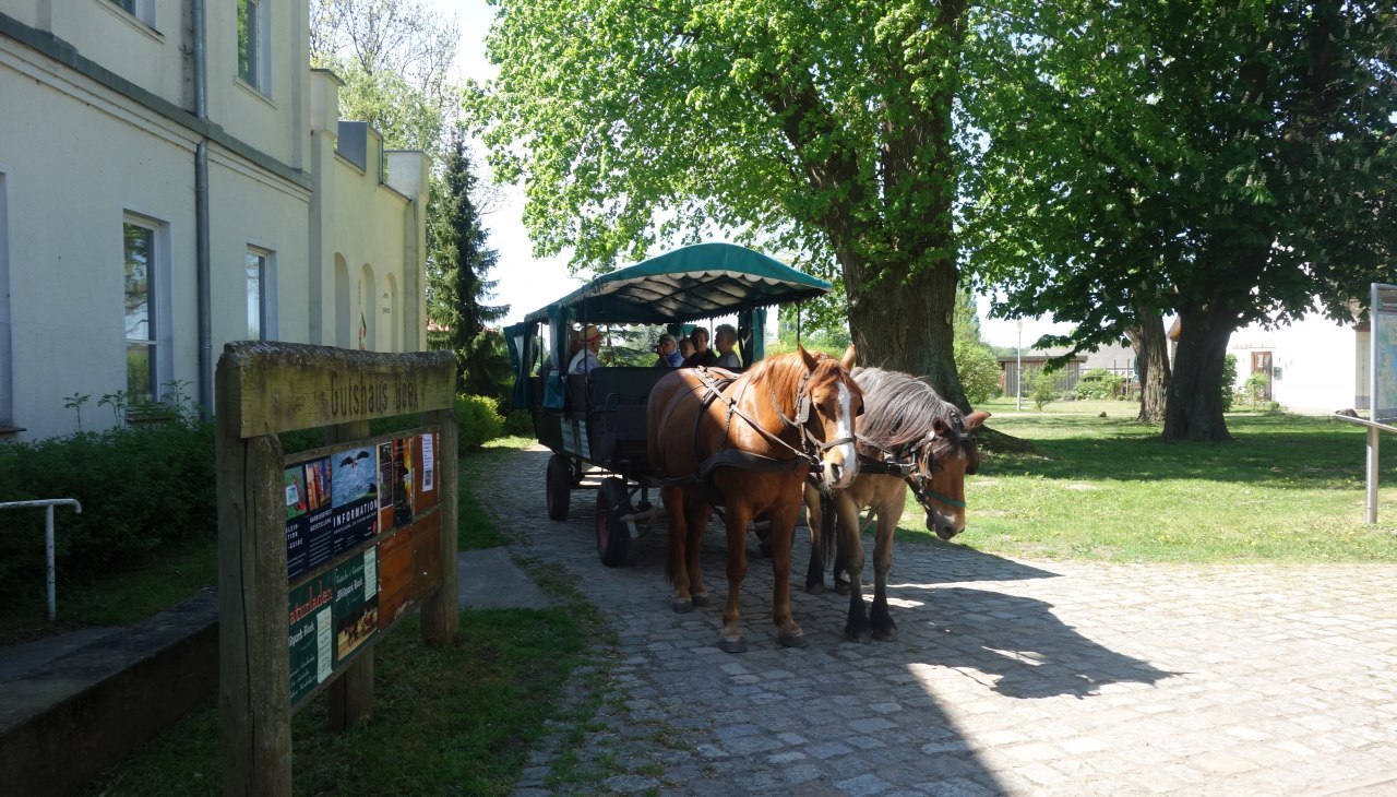 Gutshaus Boek, © TDG Rechlin mbH Gutshaus Boek, © TDG Rechlin mbH