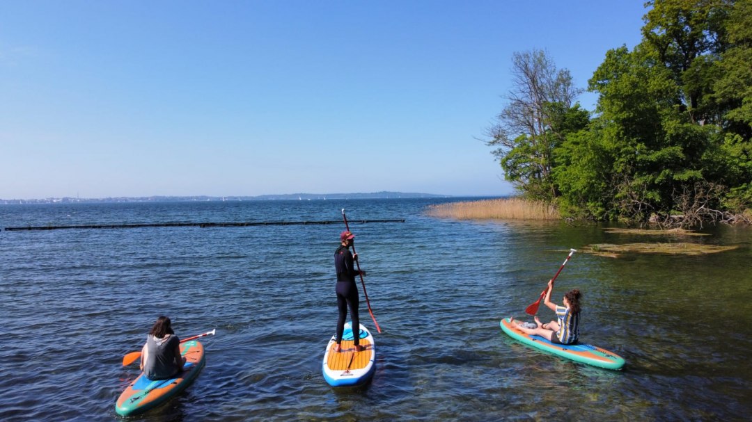Stand up Board Einsteigerkurs, © Erik Steuding Stand up Board Einsteigerkurs, © Erik Steuding