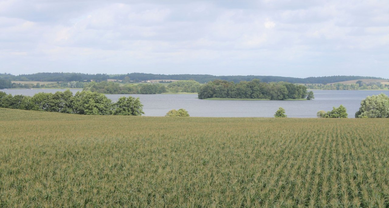 Wundervolle Ausblicke auf Inseln und Halbinseln der Krakower Seenlandschaft // &copy; Touristinformation Krakow am See