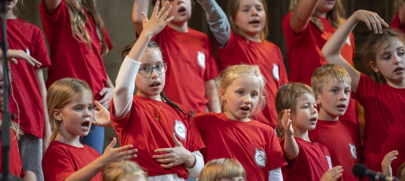 &copy; Geert Maciejewski