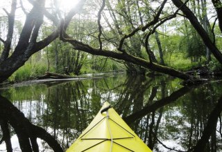 &copy; Familie Piehl