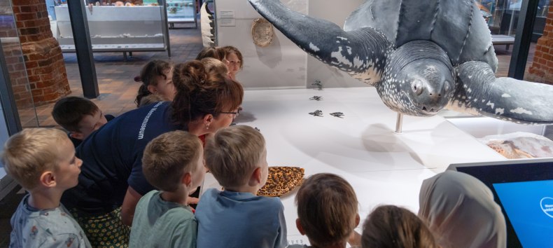 Eine Kindergruppe vor einem Schildkr&ouml;tenexponat, &copy; Anke Neumeister/Deutsches Meeresmuseum