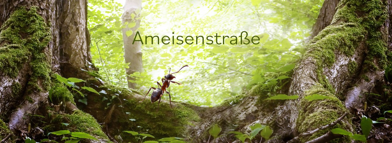 © fredak-mv.de © fredak-mv.de
