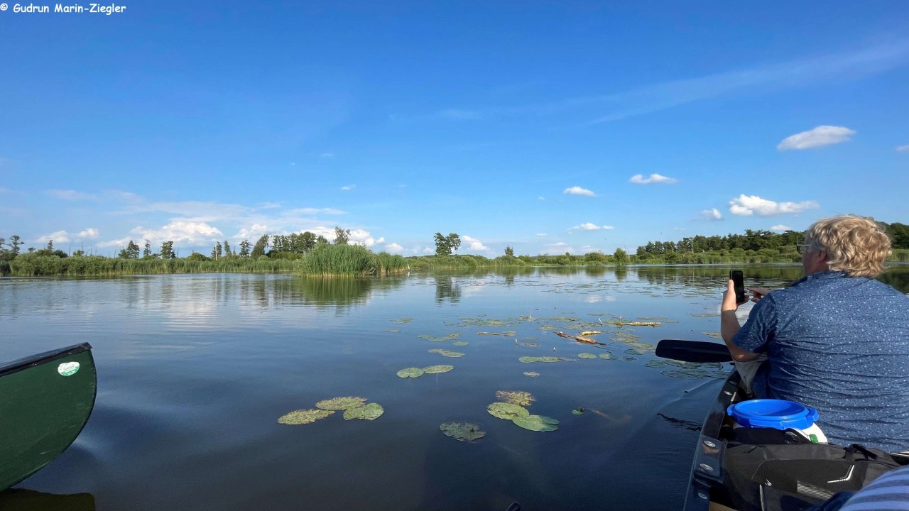 In den Torfstichen // &copy; Marin-Ziegler