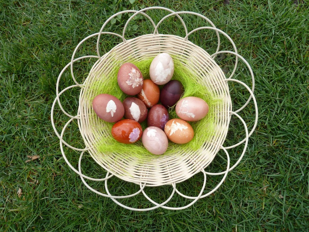 Mit Pflanzen und Pflanzenteilen gef&auml;rbte Eier. // &copy; LAKD M-V