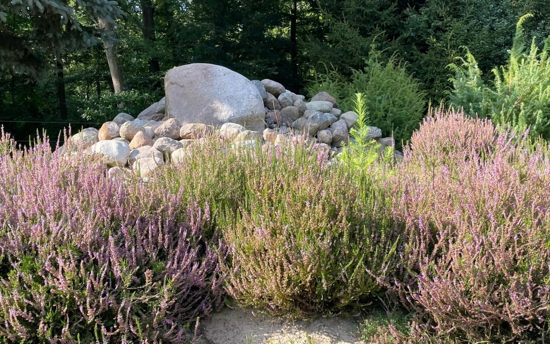 © TZ Südliche Boddenküste © TZ Südliche Boddenküste