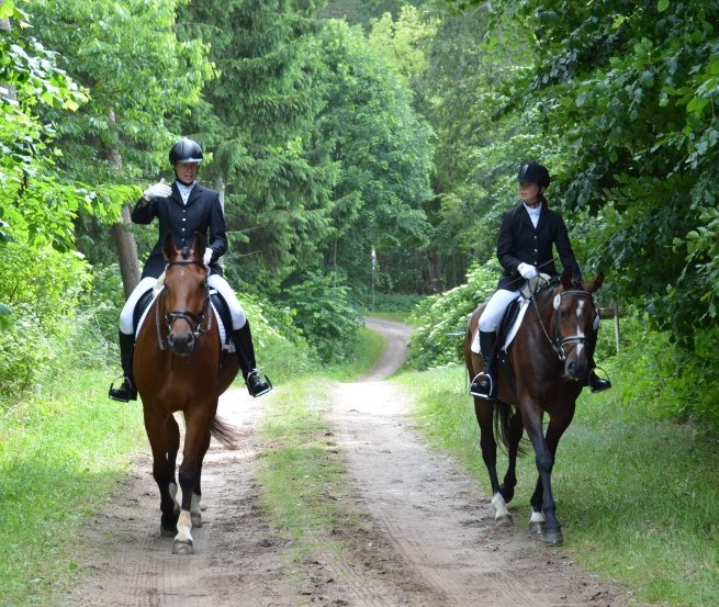 Ausreiten mit dem Reiterhof Groß-Stubben heißt vorallem Natur genießen // © Reit- und Fahrverein Poseritz e.V./ Thomas Krimmling Ausreiten mit dem Reiterhof Groß-Stubben heißt vorallem Natur genießen // © Reit- und Fahrverein Poseritz e.V./ Thomas Krimmling