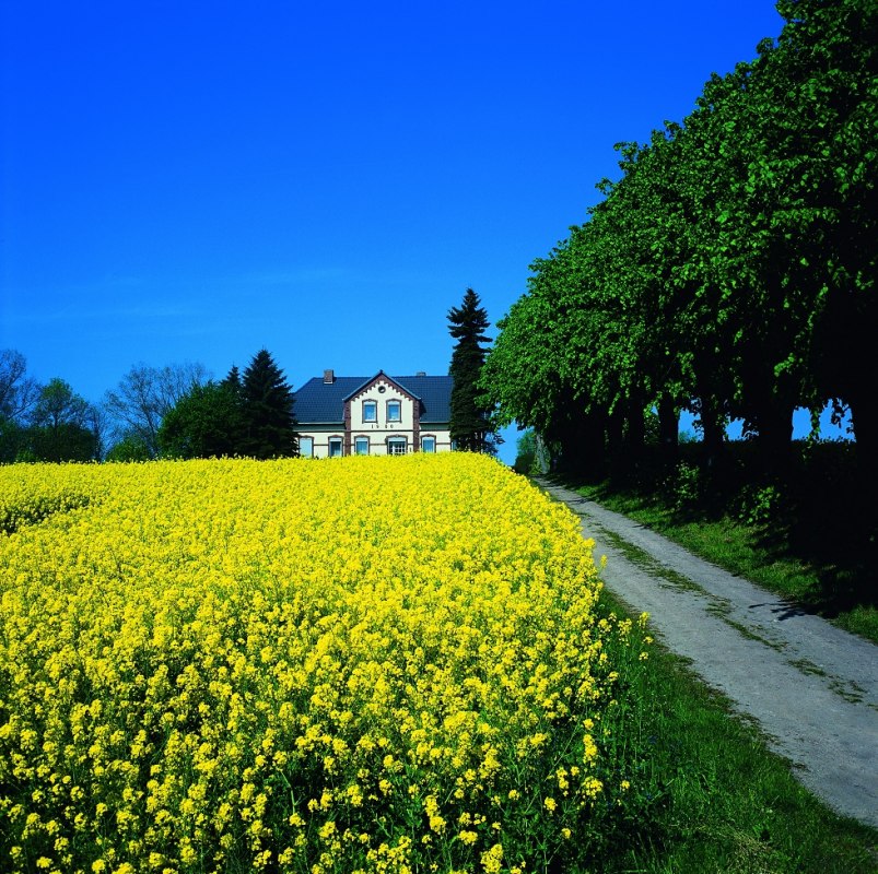Einhusen, kleinstes Dorf der Insel // &copy; Kurverwaltung Insel Poel / Markus Frick