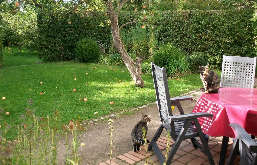 Garten und Sitzplatz der Ferienwohnung, © Heidegunde Voigtländer