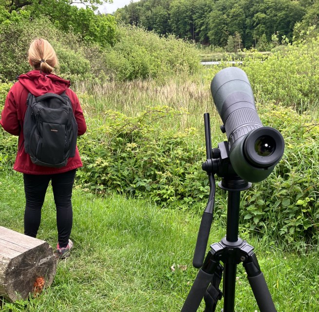 &copy; Nationalpark-Zentrum K&Ouml;NIGSSTUHL