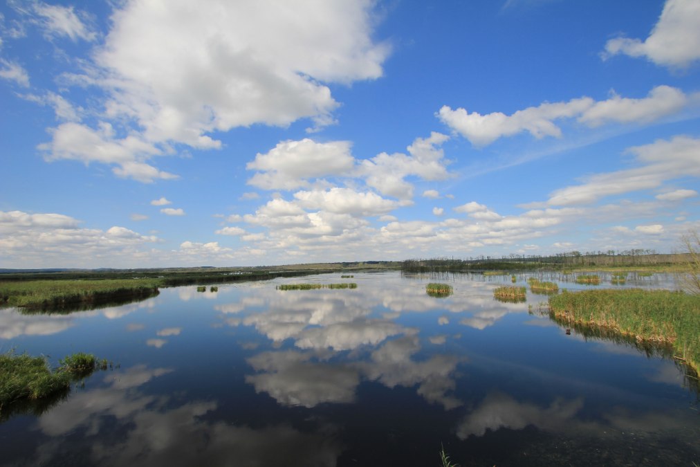 Gro&szlig;e Rosin, &copy; M. Kiauka