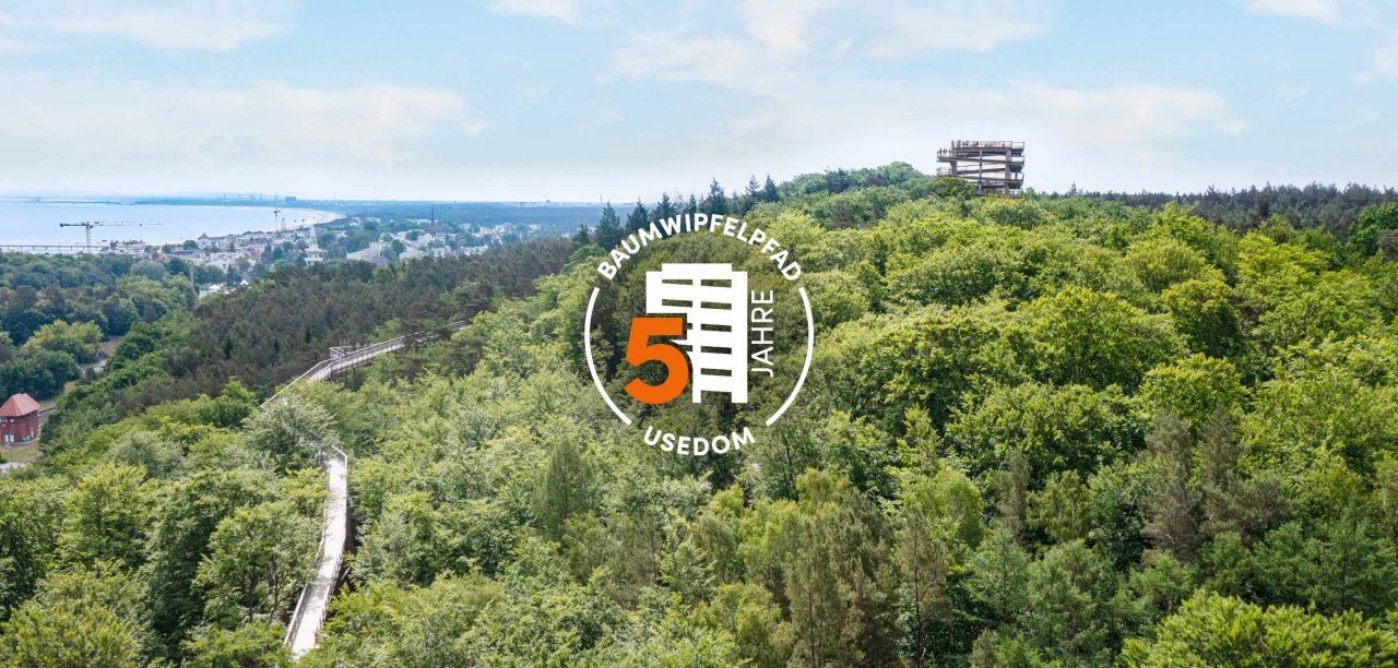 5 Jahre Baumwipfelpfad Usedom // © Erlebnis Akademie AG/Baumwipfelpfad Usedom 5 Jahre Baumwipfelpfad Usedom // © Erlebnis Akademie AG/Baumwipfelpfad Usedom