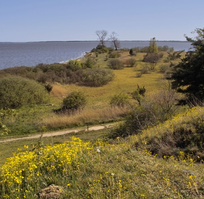 Blick auf das Naturschutzgebiet Gnitz // &copy; Fotoarchiv Naturpark Insel Usedom