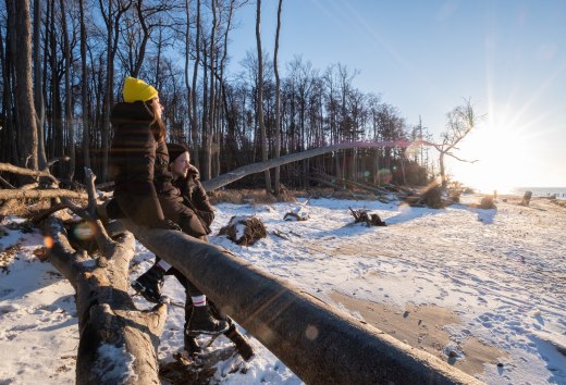Zwei Personen sitzen auf einem umgest&uuml;rzten Baum am winterlichen Strand von Torfbr&uuml;cke und blicken in die tief stehende Sonne &uuml;ber der Ostsee.